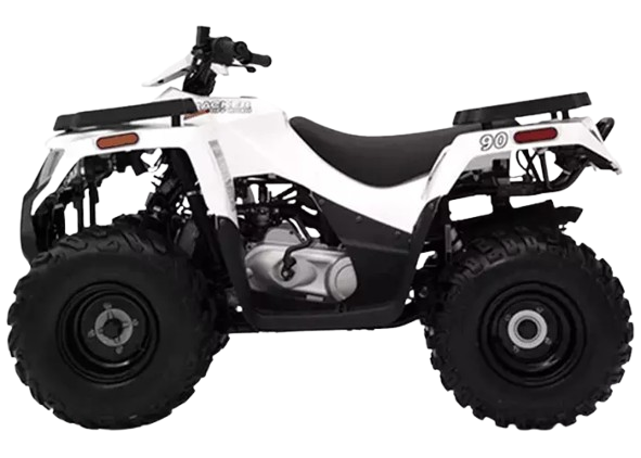 Home atv img removebg preview.png