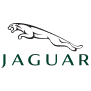 logo 10.png