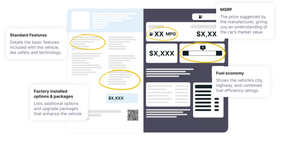 ws visual w.webp